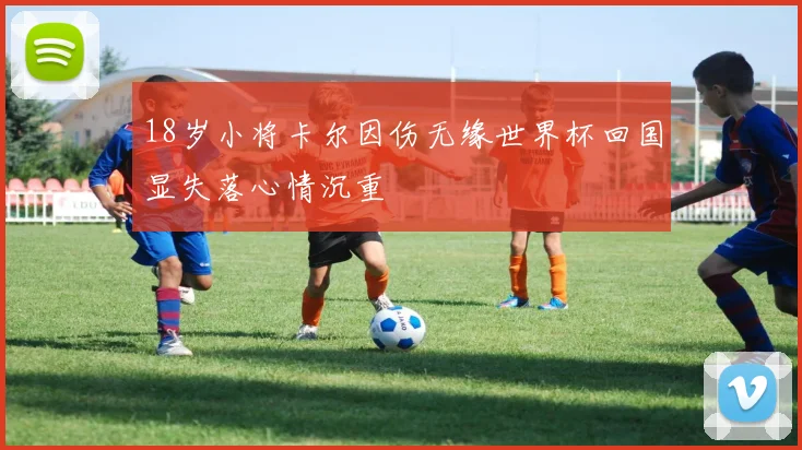 18岁小将卡尔因伤无缘世界杯回国显失落心情沉重