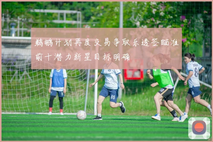 鹈鹕计划再度交易争取乐透签瞄准前十潜力新星目标明确